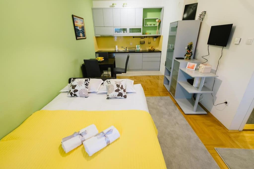 Charming And Cozy Near Center Lägenhet Novi Sad