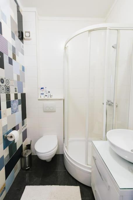 Charming And Cozy Near Center Novi Sad